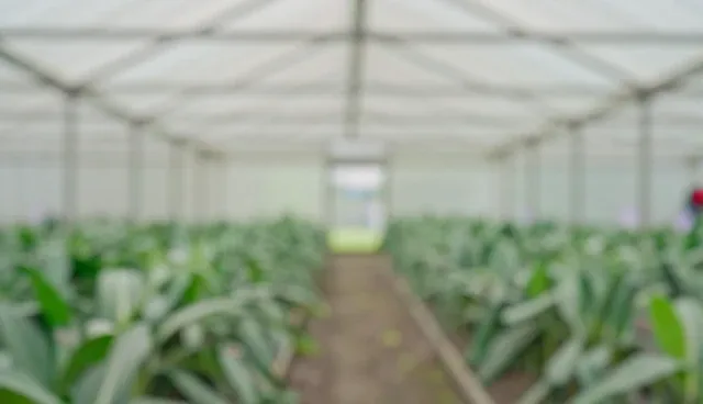 健康体检套餐选择需关注性能差异